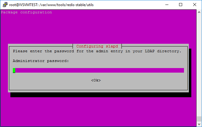 File:Install40.png