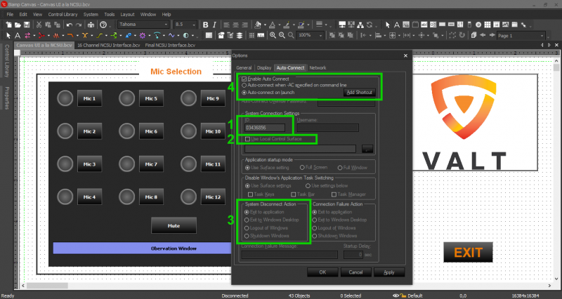 File:Canvas Options Options.png