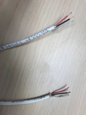 Stripped 22 2 Wire.JPG
