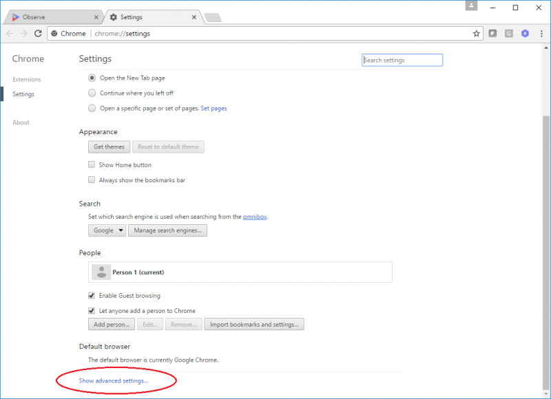 File:ChromeFlash4.png