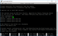 NTP2.png
