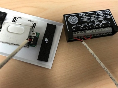 STM input and phantom.jpg